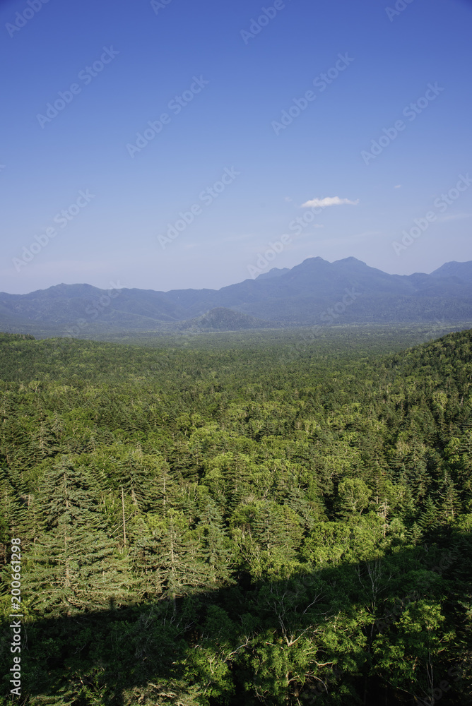 Obraz premium 松見大橋からの眺め