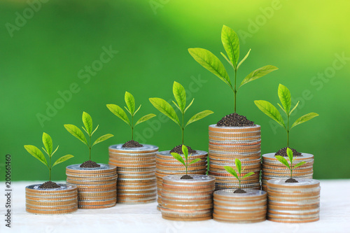 Real estate investments and business concept, Trees growing on coins money on natural green background