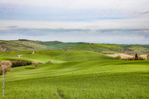 Spring tuscany landscape 