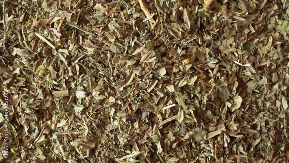4k Rotation Medicinal Herbs Plantain 4k Rotation Medicinal Herbs Plantain