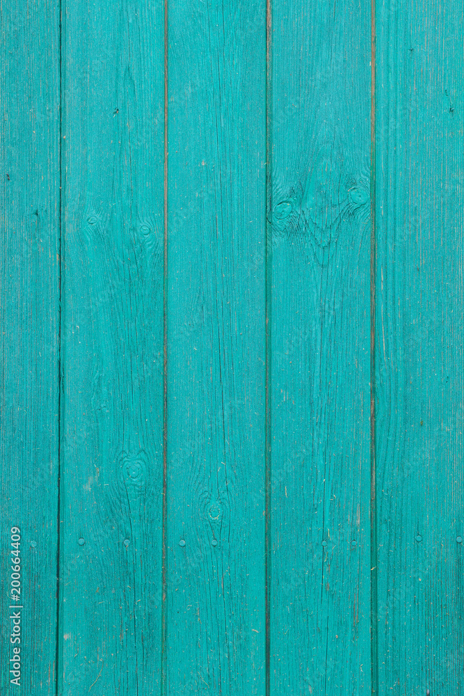 Mint wooden wall, texture, wood surface Mint wooden wall, texture, wood surface
