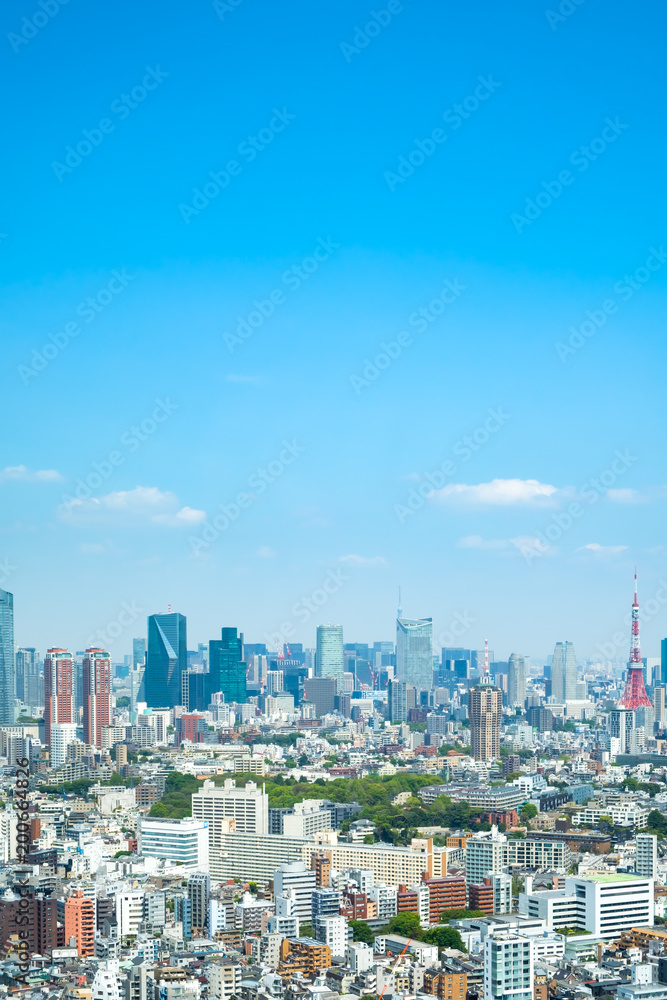 Fototapeta premium Krajobraz Tokio