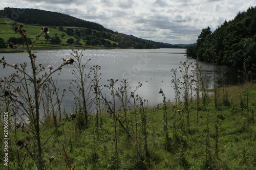 Gouthwaite Reservoir, Nidderdale, England photo