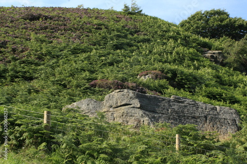 Nidderdale, Pateley Bridge, Yorkshire photo