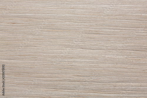 Clean stylish light oak veneer texture.