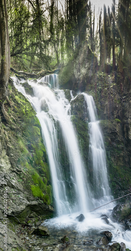 vertical panorama of a gorgeous waterfall in lush green woods with warm sunlight shining through the trees vertical panorama of a gorgeous waterfall in lush green woods with warm sunlight shining through the trees