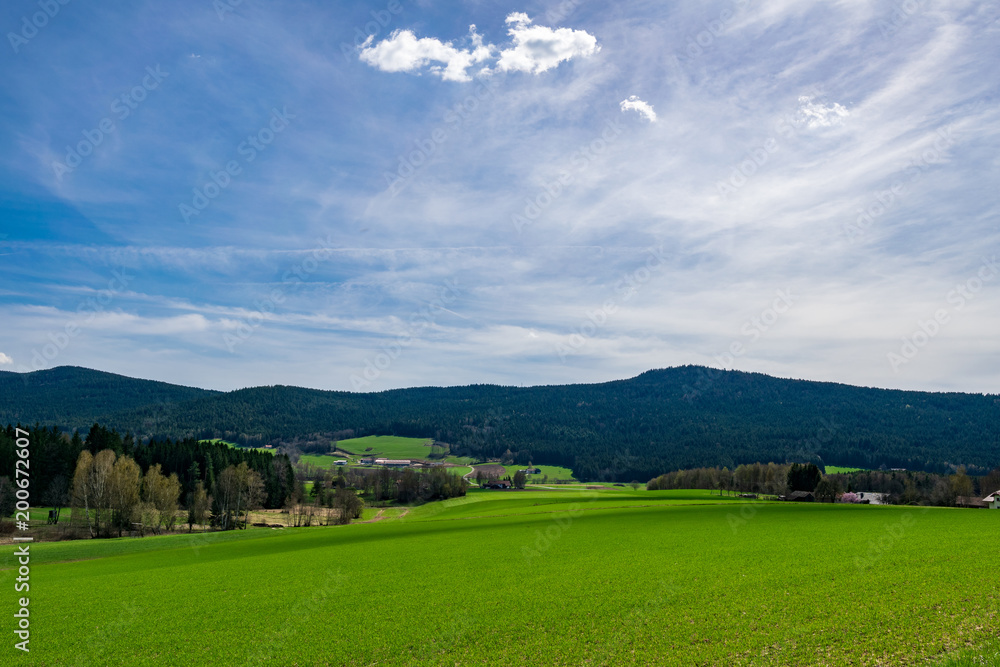 Landschaft im Bayerischen Wald mit Bäumen und Wiese und Wolken am Himmel