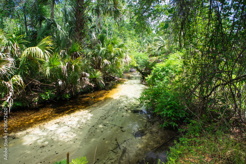 Juniper Springs, Florida
