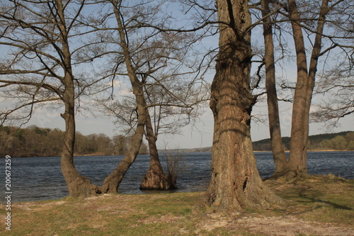 Frühling an der Berliner Havel photo