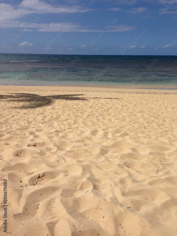 Sandy beach in Dominican Republic