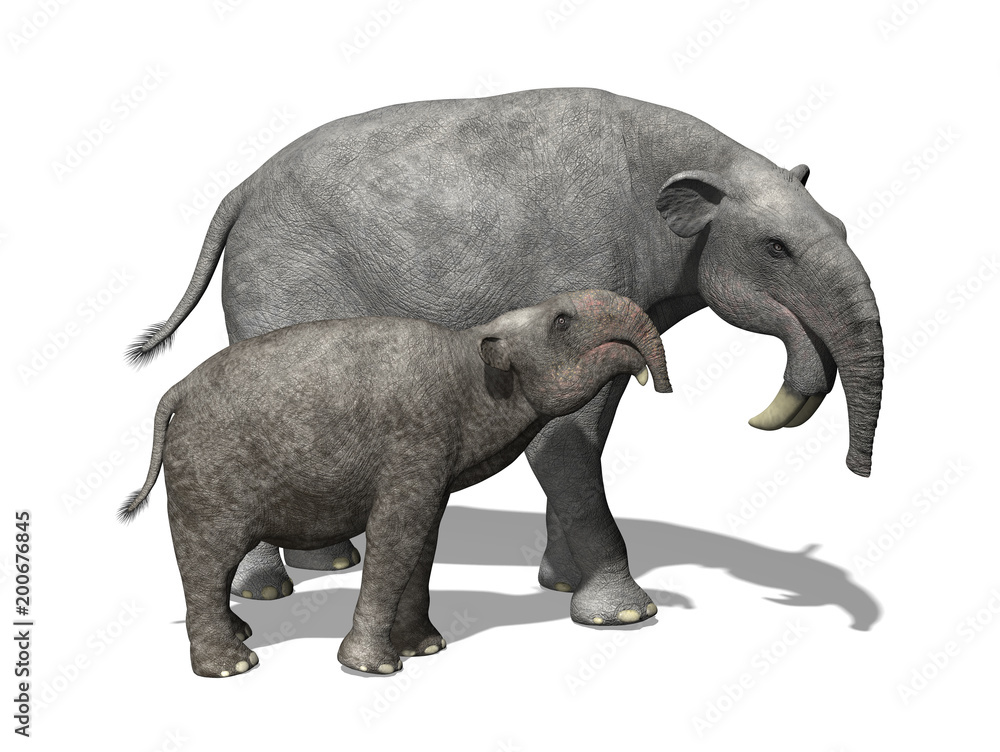 Deinotherium (white background)