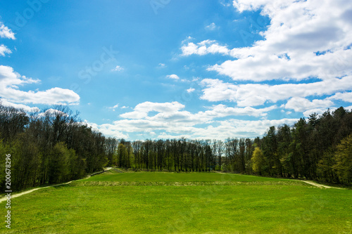 horizontal line of trees and green meadow on beutiful sunny day with blue sky