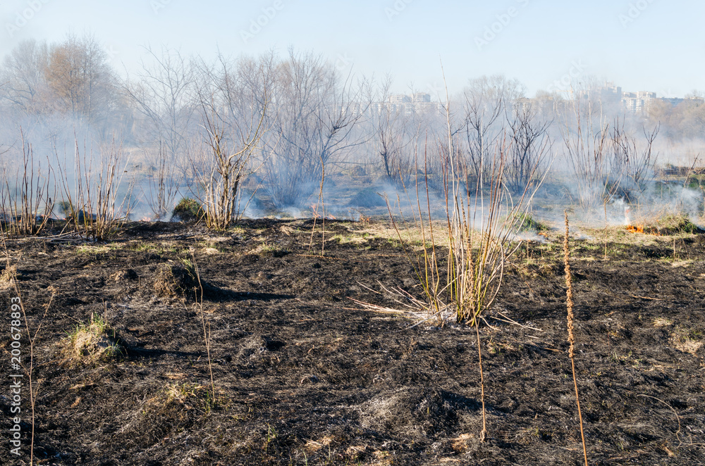 The fire of dry grass in the field The fire of dry grass in the field