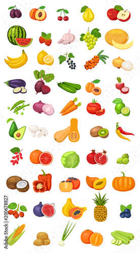 Vector berries, fruits and vegetables icon collection isolated on white. Flat cartoon illustration with natural and environmentally friendly tropical and exotic