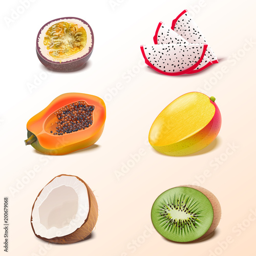 Set of Isolated tropical fruits slices. Pieces of passion fruit, pitaya, mango, coconut, papaya, kiwi vector illustration