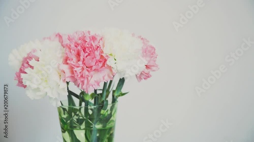 Flowers, rotation on white background, floral composition consists of Carnation photo