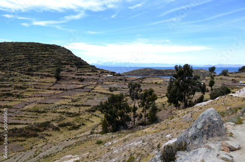 Terrace fields - cultivation on Isla del Sol, Lake Titicaca Peru