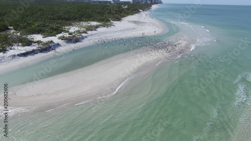 Εκτύπωση καμβά drone aerial of birds on sandbar