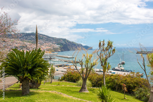 Panorama of Funchal harbour Skyline de Parque de Santa Catarina (Santa Catarina Park) Madeira island Portugal photo