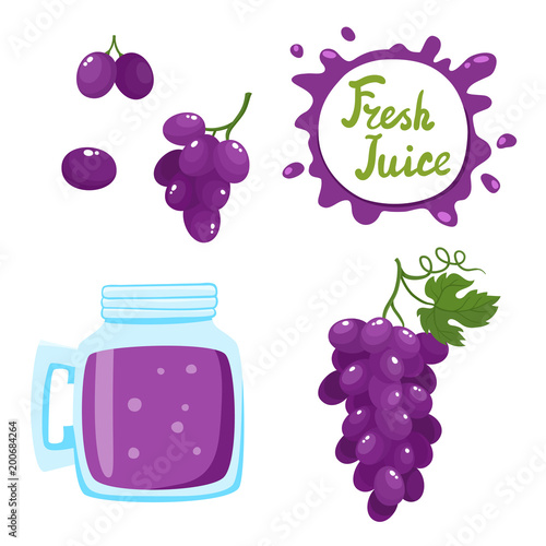 Vector set of grapes juice and berries isolated on white