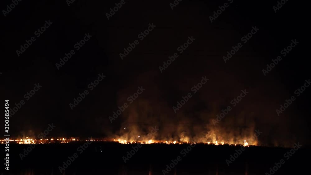 Firefighter with a lantern makes his way to the center of the fire. Night Fire In The Field Firefighter with a lantern makes his way to the center of the fire. Night Fire In The Field