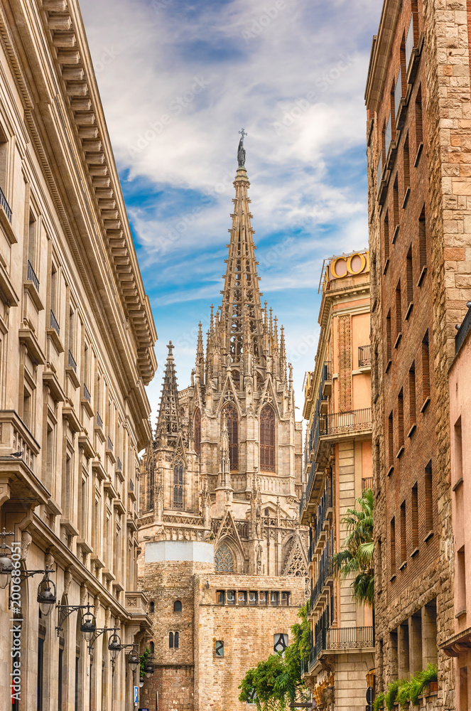 Scenic view of the Barcelona Cathedral, Catalonia, Spain