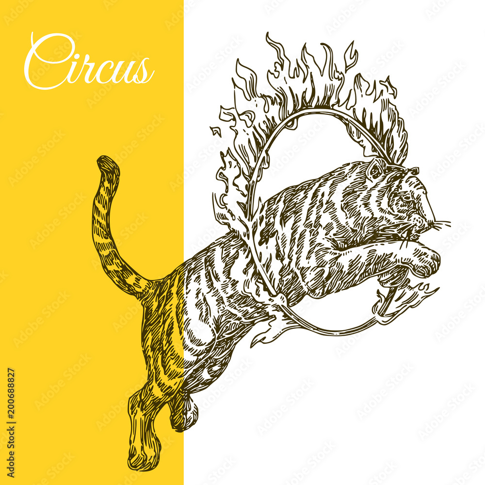 grip voor eeuwig Van Circus tiger jumping through a ring of fire. Engraving style. Vector  illustration. Stock Vector | Adobe Stock