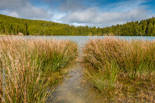 Small lake called Sao Bras. Surrounded by green forest  located on Sao Miguel island of Azores  Portugal.