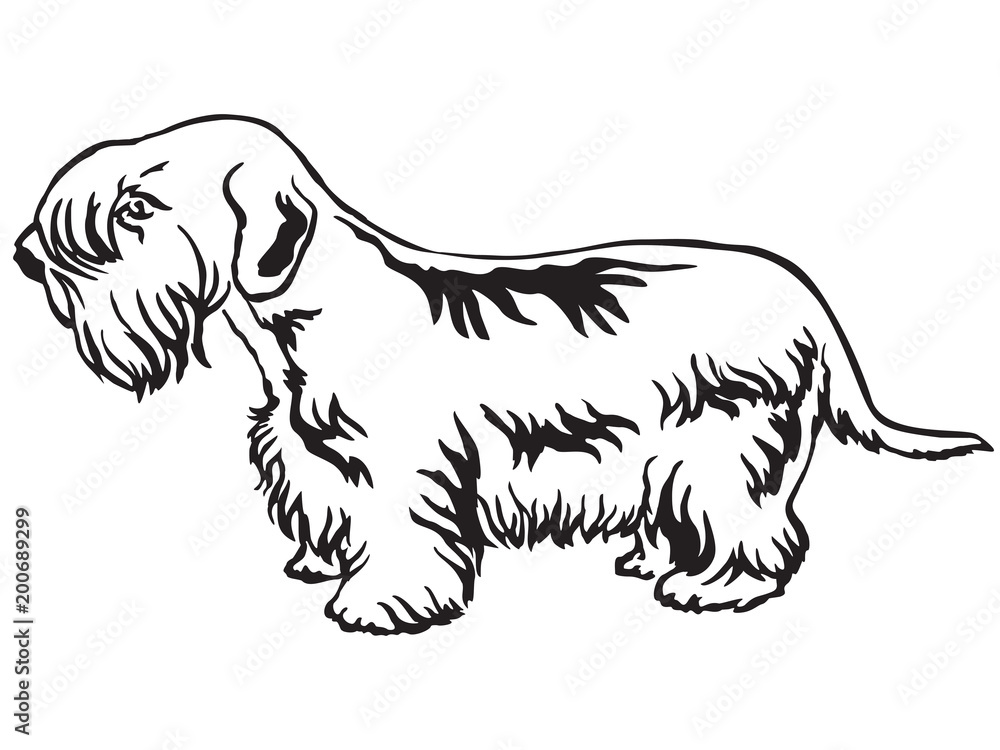 Decorative standing portrait of Sealyham Terrier vector illustration Decorative standing portrait of Sealyham Terrier vector illustration