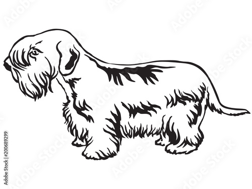 Decorative standing portrait of Sealyham Terrier vector illustration