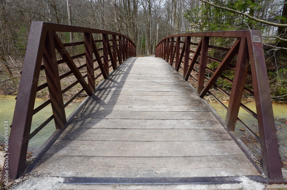 Red metal and wooden bridge on a nature trail.