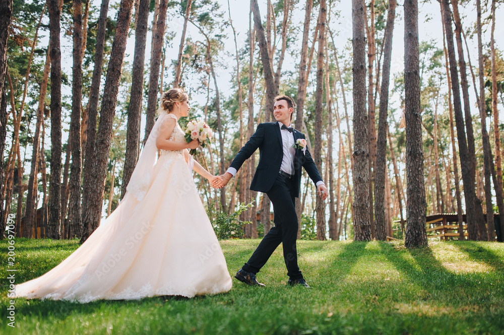 Happy bride and groom running along the grass holding hands. A wedding dress with a long train. Pine forest. Happy bride and groom running along the grass holding hands. A wedding dress with a long train. Pine forest.