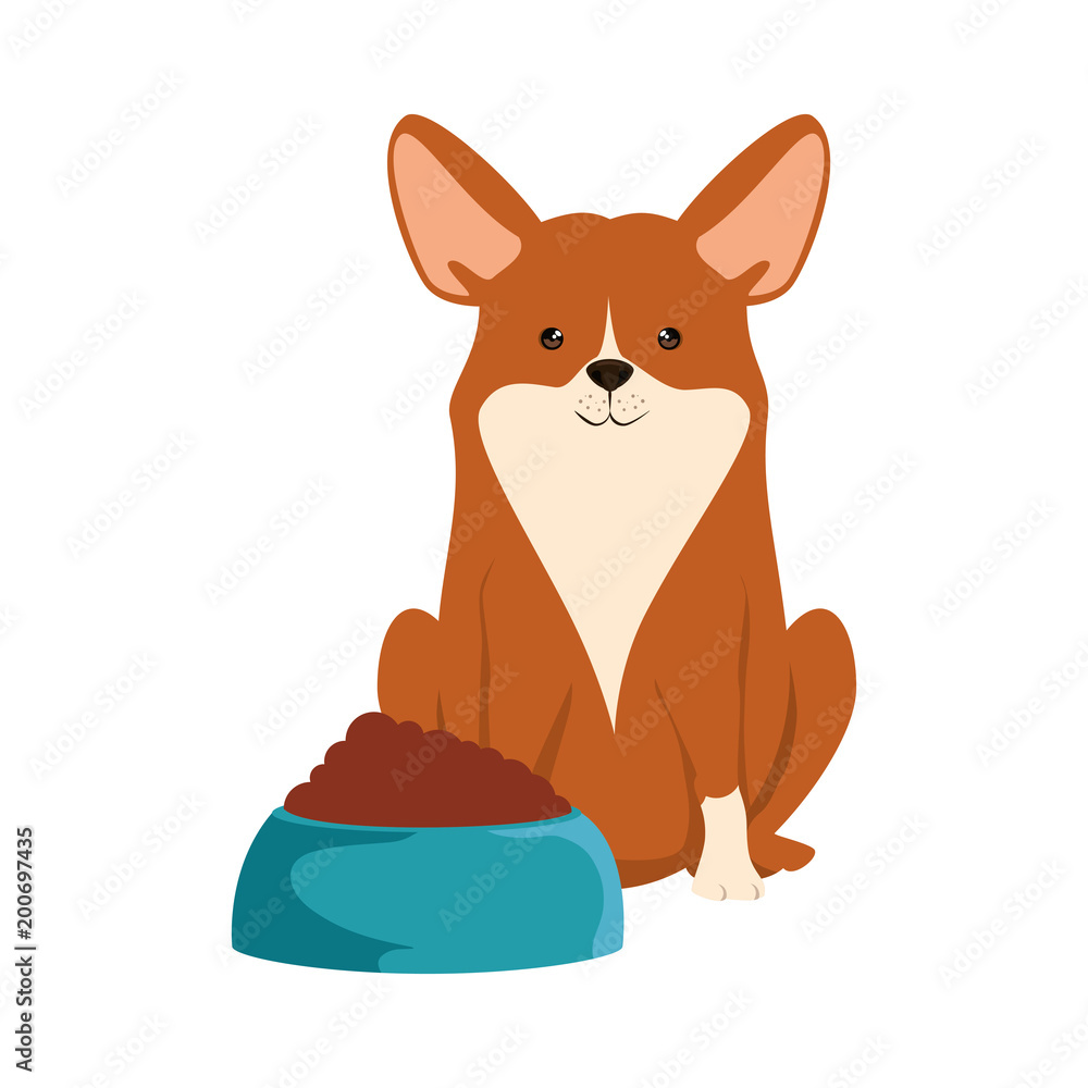 cute dog breed with dish food character vector illustration design