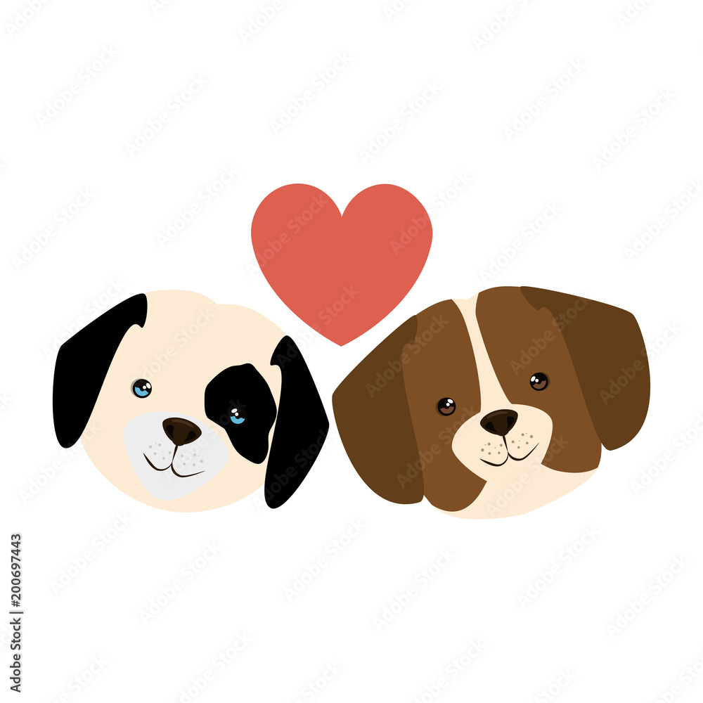 cute dogs couple lovers with hearts characters vector illustration design