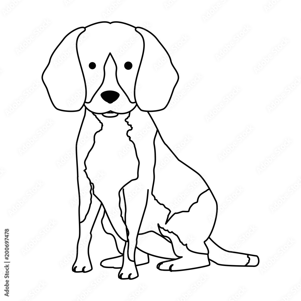 Fototapeta premium cute dog breed character vector illustration design