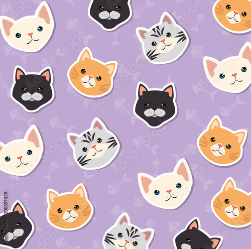 cute cats mascots heads characters pattern vector illustration design