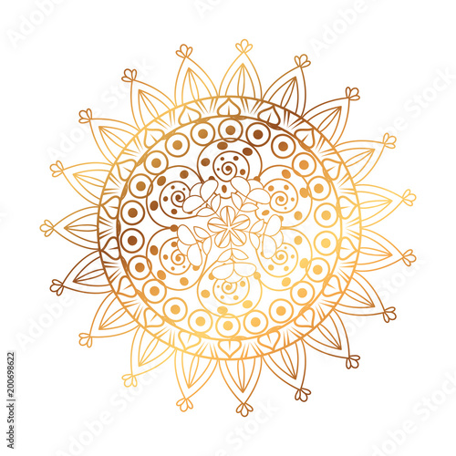 golden and circular mandala vector illustration design