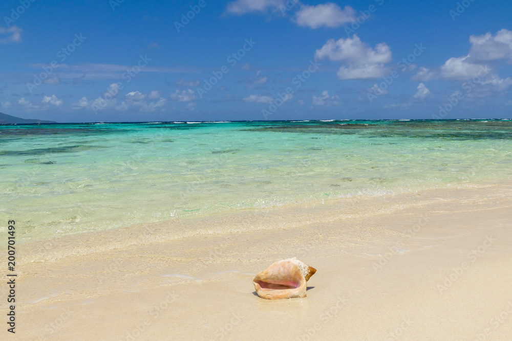 Obraz premium TOBAGO_1