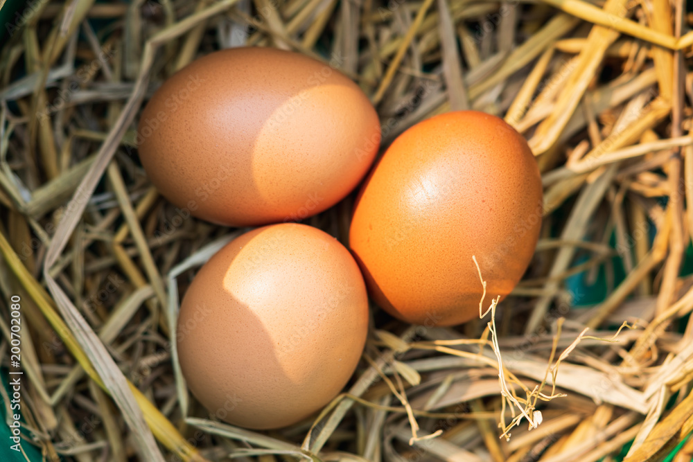 Closeup fresh eggs on straw background Closeup fresh eggs on straw background