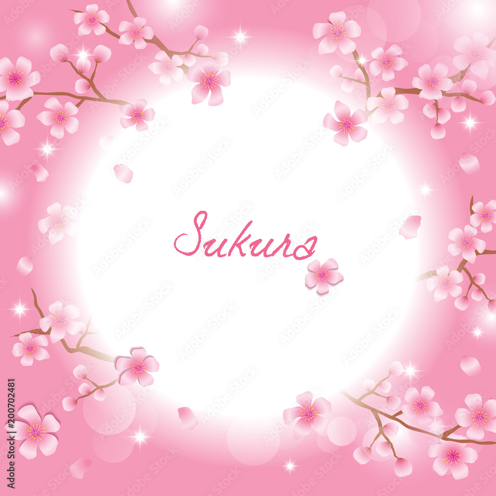 Sakura flowers on pink background