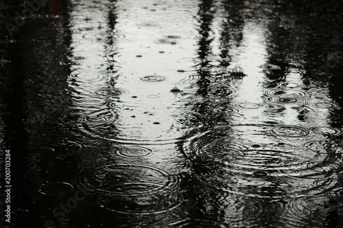 Fotografía 水たまりに降る雨