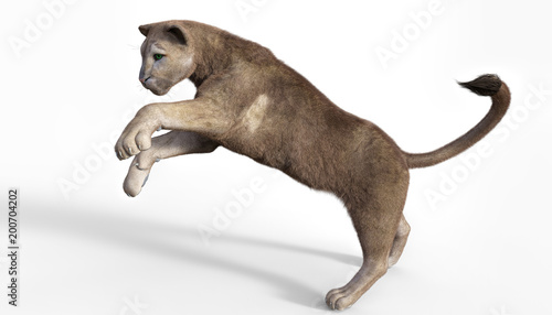 3d rendering  of a hunting puma isolated on white