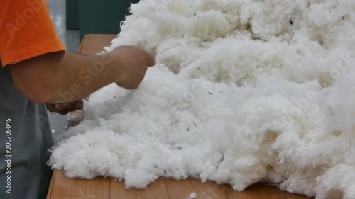 A working textile factory hands cleans the raw cotton. the camera is stationary. Close-up