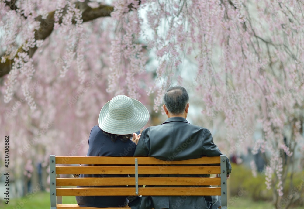 春・桜・くつろぐカップル 春・桜・くつろぐカップル