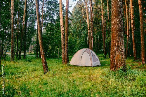 a large gray family tent stands on a green meadow in a pine forest in the summer