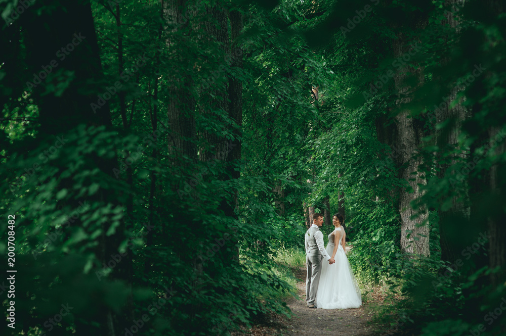 Elegant stylish happy brunette bride and gorgeous groom on the background of a beautiful river in the mountains Elegant stylish happy brunette bride and gorgeous groom on the background of a beautiful river in the mountains