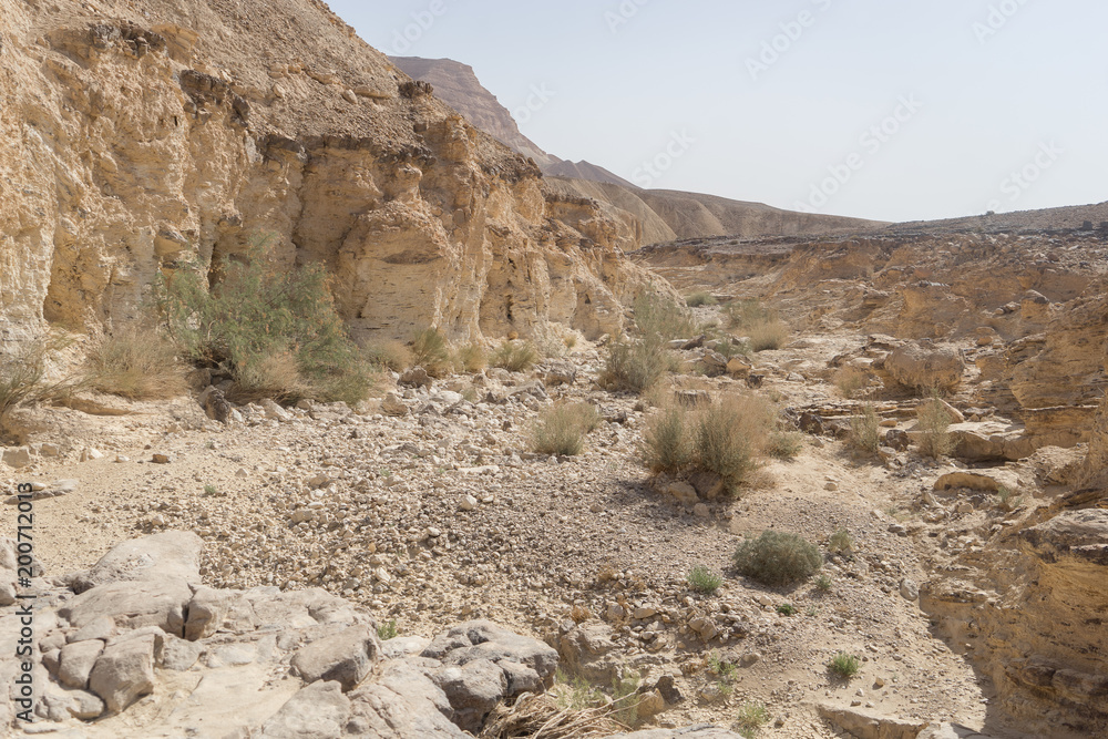 Desert trekking in Israel