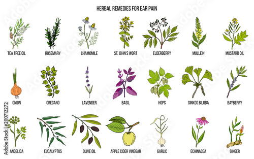 Best medicinal herbs for ear pain