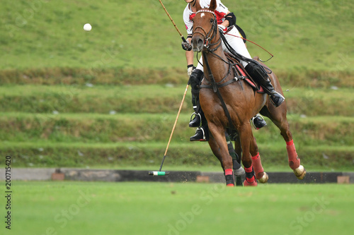 player riding a horse to hit a ball in match. © Hola53