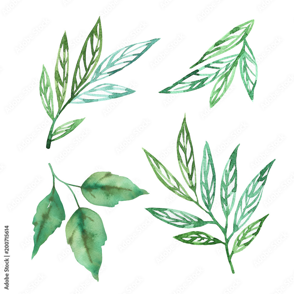 Fototapeta premium Spring green set with abstract leaves watercolor on white background. Herbal hand drawn illustration. Green sketch watercolor